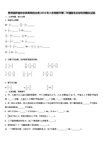 贵州省黔南布依族苗族自治州2023年六年级数学第二学期期末达标检测模拟试题含解析