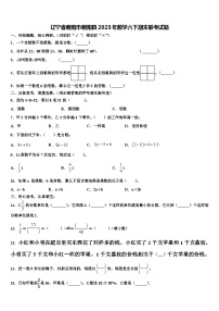 辽宁省朝阳市朝阳县2023年数学六下期末联考试题含解析