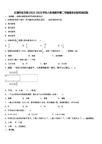 辽源市东丰县2022-2023学年六年级数学第二学期期末达标检测试题含解析