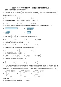 迁西县2023年六年级数学第二学期期末达标检测模拟试题含解析