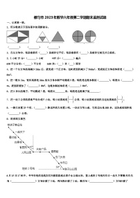 都匀市2023年数学六年级第二学期期末监测试题含解析