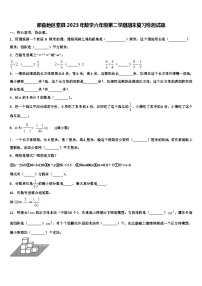 那曲地区索县2023年数学六年级第二学期期末复习检测试题含解析