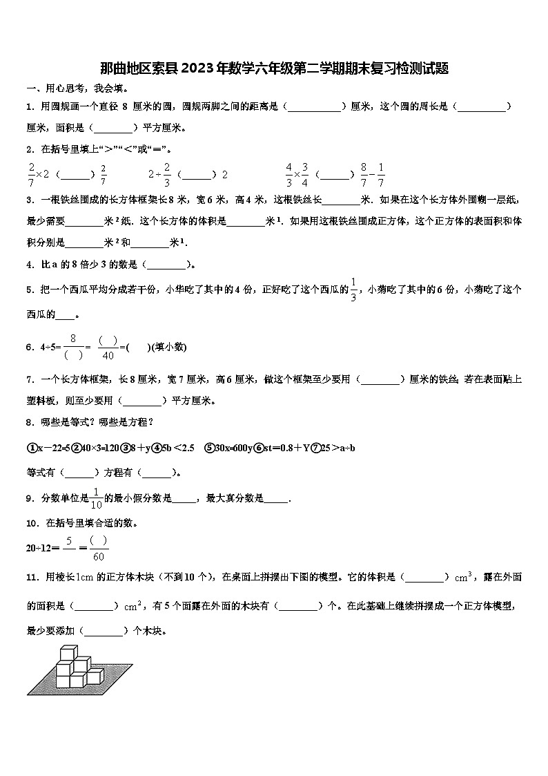 那曲地区索县2023年数学六年级第二学期期末复习检测试题含解析01