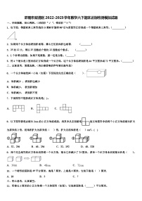 邵阳市双清区2022-2023学年数学六下期末达标检测模拟试题含解析