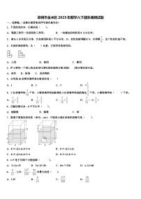 郑州市金水区2023年数学六下期末调研试题含解析