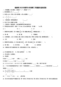 锦屏县2023年数学六年级第二学期期末监测试题含解析