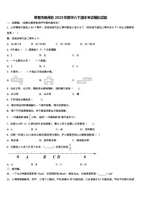 阜阳市颍州区2023年数学六下期末考试模拟试题含解析