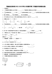 陇南地区西和县2022-2023学年六年级数学第二学期期末检测模拟试题含解析