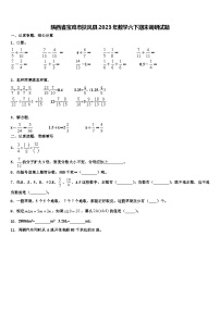 陕西省宝鸡市扶风县2023年数学六下期末调研试题含解析