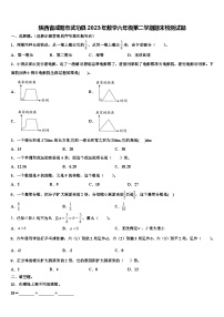 陕西省咸阳市武功县2023年数学六年级第二学期期末检测试题含解析