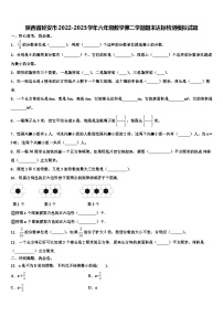 陕西省延安市2022-2023学年六年级数学第二学期期末达标检测模拟试题含解析