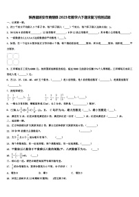 陕西省延安市黄陵县2023年数学六下期末复习检测试题含解析