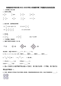 陕西省延安市延长县2022-2023学年六年级数学第二学期期末达标测试试题含解析