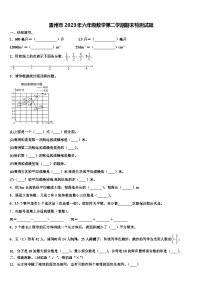 雷州市2023年六年级数学第二学期期末检测试题含解析