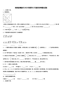 陕西省渭南市2023年数学六下期末统考模拟试题含解析