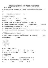 陕西省渭南市白水县2022-2023学年数学六下期末调研试题含解析