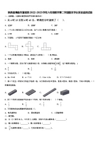 陕西省渭南市蒲城县2022-2023学年六年级数学第二学期期末学业质量监测试题含解析