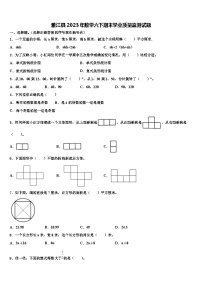 雅江县2023年数学六下期末学业质量监测试题含解析