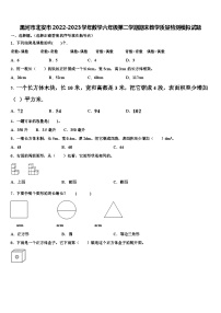 黑河市北安市2022-2023学年数学六年级第二学期期末教学质量检测模拟试题含解析