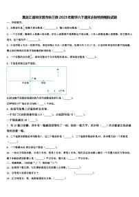 黑龙江省哈尔滨市依兰县2023年数学六下期末达标检测模拟试题含解析