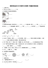 黄冈市英山县2023年数学六年级第二学期期末预测试题含解析