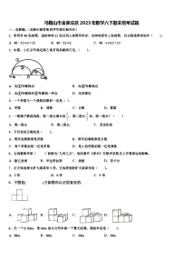 马鞍山市金家庄区2023年数学六下期末统考试题含解析