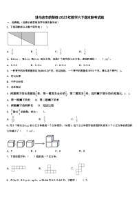 驻马店市新蔡县2023年数学六下期末联考试题含解析