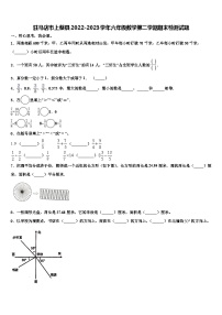 驻马店市上蔡县2022-2023学年六年级数学第二学期期末检测试题含解析