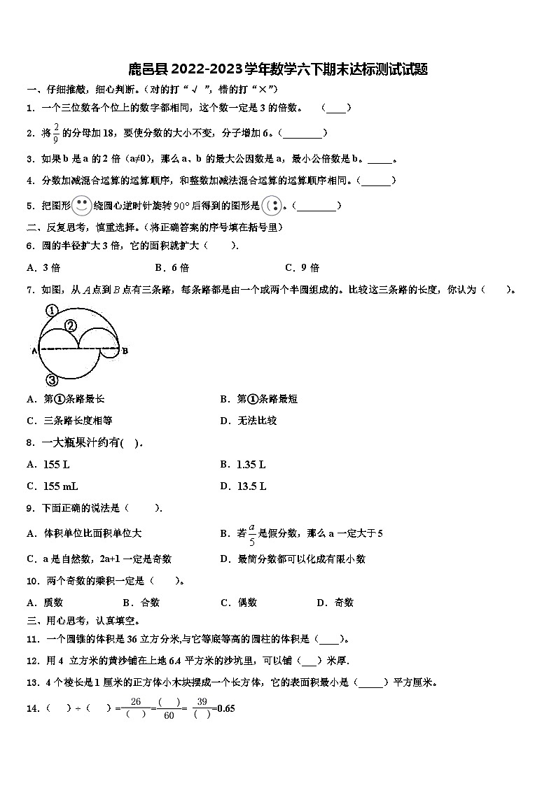 鹿邑县2022-2023学年数学六下期末达标测试试题含解析第1页