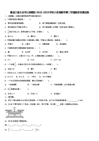 黑龙江省大庆市让胡路区2022-2023学年六年级数学第二学期期末经典试题含解析