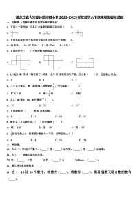 黑龙江省大兴安岭塔河县小学2022-2023学年数学六下期末经典模拟试题含解析