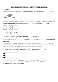 黑龙江省鸡西市城子河区2023年数学六下期末达标测试试题含解析