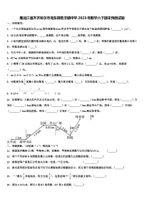 黑龙江省齐齐哈尔市克东县乾丰镇中学2023年数学六下期末预测试题含解析