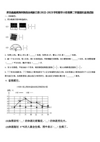 黔东南南苗族侗族自治州麻江县2022-2023学年数学六年级第二学期期末监测试题含解析