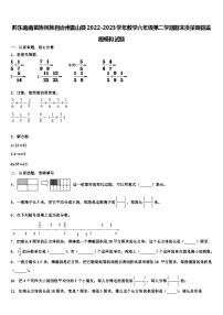 黔东南南苗族侗族自治州雷山县2022-2023学年数学六年级第二学期期末质量跟踪监视模拟试题含解析