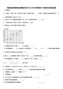 黔南布依族苗族自治州惠水县2022-2023学年数学六下期末综合测试试题含解析