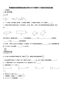 黔西南布依族苗族自治州贞丰县2023年数学六下期末综合测试试题含解析