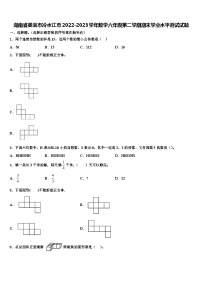 湖南省娄底市冷水江市2022-2023学年数学六年级第二学期期末学业水平测试试题含解析