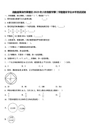 湖南省娄底市娄星区2023年六年级数学第二学期期末学业水平测试试题含解析