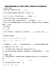 甘肃省定西地区渭源县2023年数学六年级第二学期期末学业水平测试模拟试题含解析