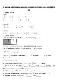 甘肃省张掖市黑泉学区2022-2023学年六年级数学第二学期期末学业水平测试模拟试题含解析