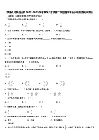 罗城仫佬族自治县2022-2023学年数学六年级第二学期期末学业水平测试模拟试题含解析