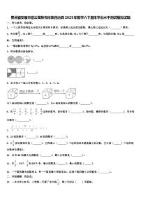 贵州省安顺市紫云苗族布依族自治县2023年数学六下期末学业水平测试模拟试题含解析