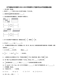 辽宁省铁岭市开原市2022-2023学年数学六下期末学业水平测试模拟试题含解析