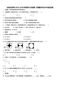 运城市河津市2022-2023学年数学六年级第二学期期末学业水平测试试题含解析