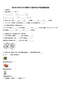 遵义市仁怀市2023年数学六下期末学业水平测试模拟试题含解析