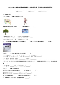 2022-2023学年临沧地区镇康县三年级数学第二学期期末质量检测试题含解析