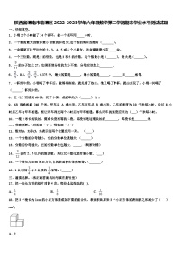 陕西省渭南市临渭区2022-2023学年六年级数学第二学期期末学业水平测试试题含解析