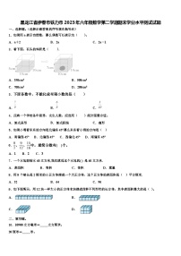 黑龙江省伊春市铁力市2023年六年级数学第二学期期末学业水平测试试题含解析