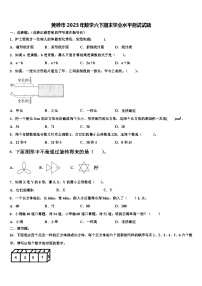 黄骅市2023年数学六下期末学业水平测试试题含解析